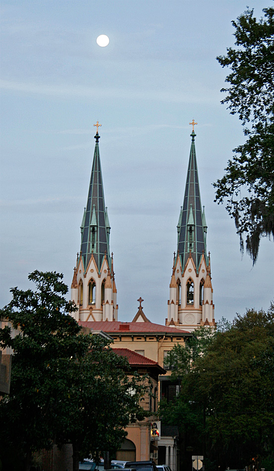 Photography by pinkfly for DesignCrowd (Community Contests) | Design #8983333