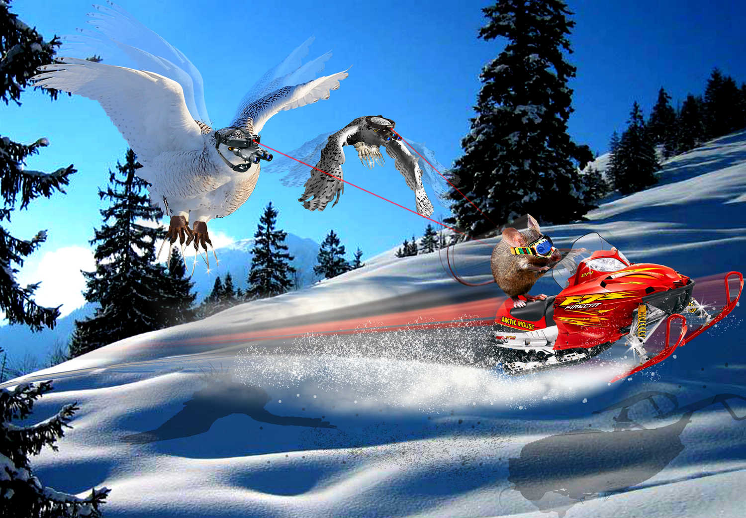 Photoshop Design by MarcSTLouis for DesignCrowd (Community Contests) | Design #8978076