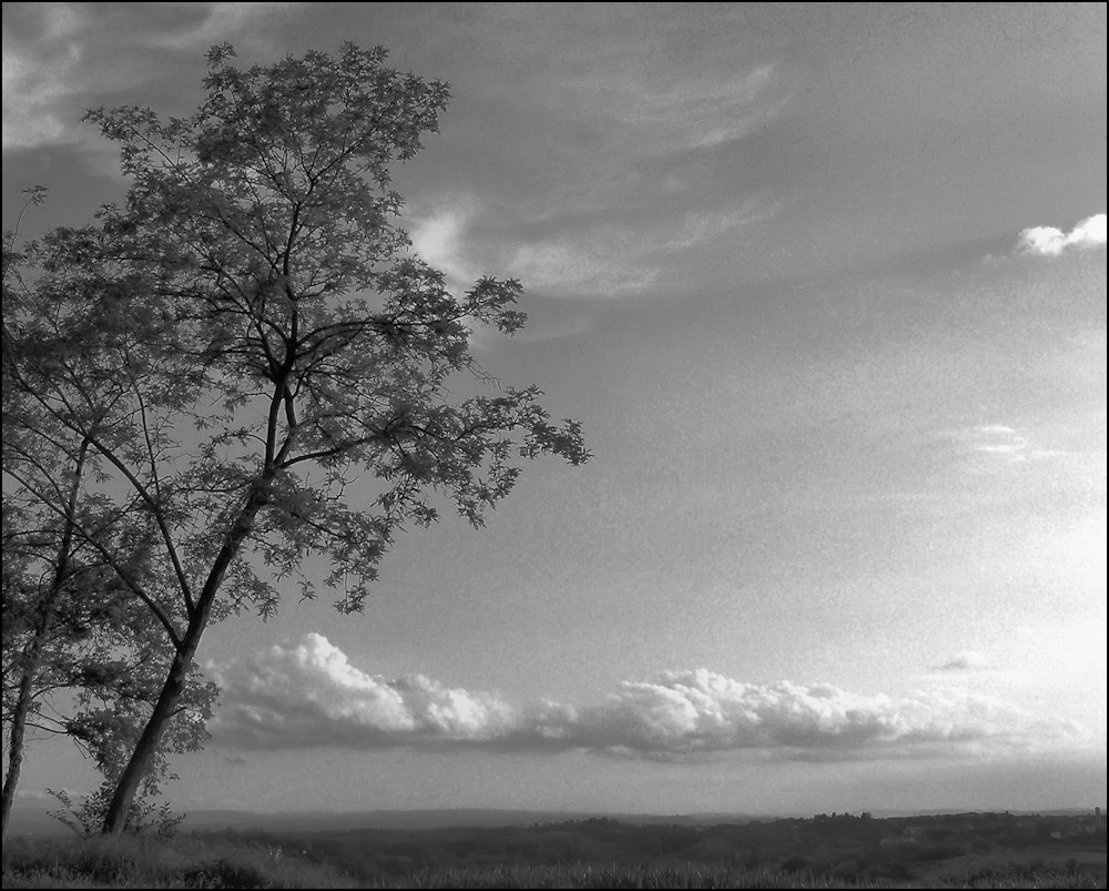 Photography by ercolano for DesignCrowd (Community Contests) | Design #8981961