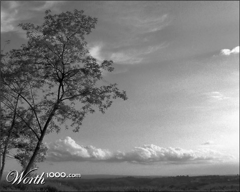 Photography by ercolano