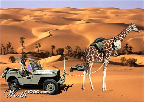 Photoshop Design by maxyutz