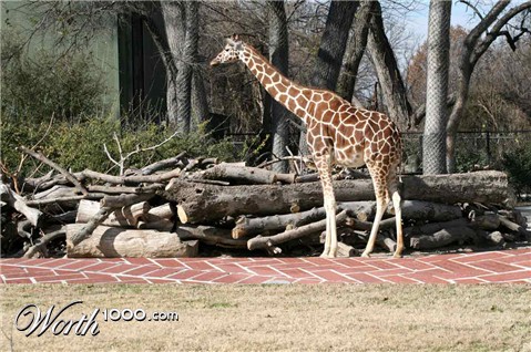 Photoshop Design by jconcilio