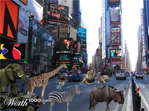 Photoshop Design by error5001