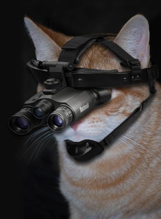 Diseño de Photoshop por Sam1968 para DesignCrowd (Community Contests) | Diseño #8978081