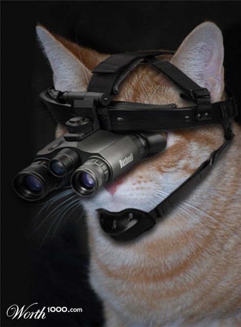 Photoshop Design by Sam1968