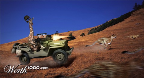 Photoshop Design by fu55yboy