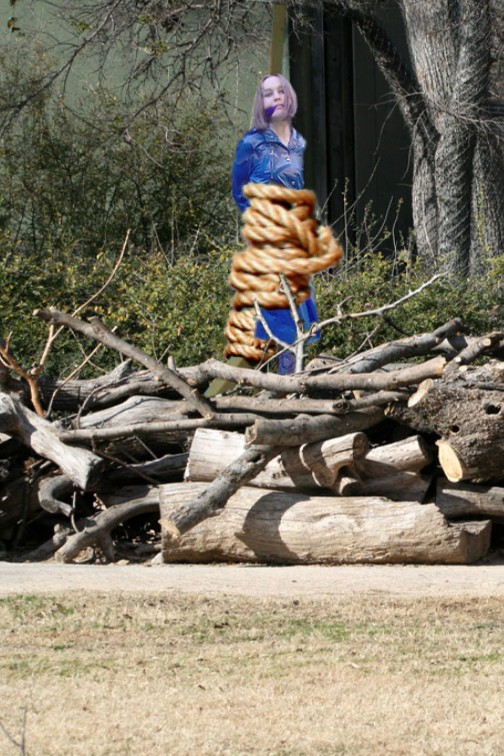 Design Photoshop par BOREDAMETHYST pour DesignCrowd (Community Contests) | Design #8979076