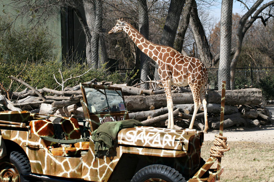 Diseño de Photoshop por CouchPotato para DesignCrowd (Community Contests) | Diseño #8979063