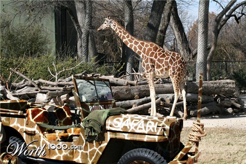 Photoshop Design by CouchPotato