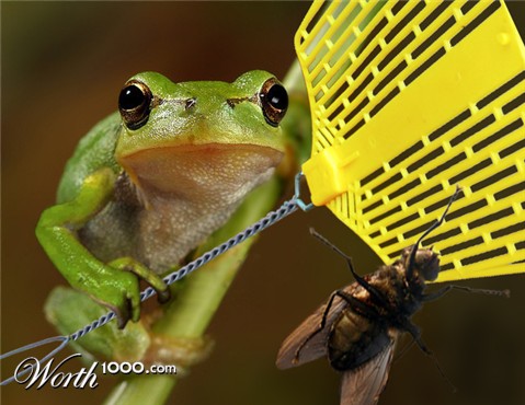 Photoshop Design by pvictory