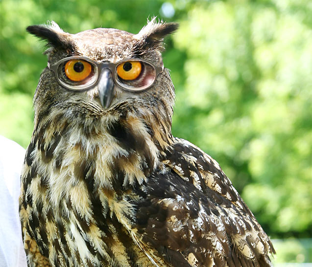 Photoshop Design by bicyclewilli for DesignCrowd (Community Contests) | Design #8978096