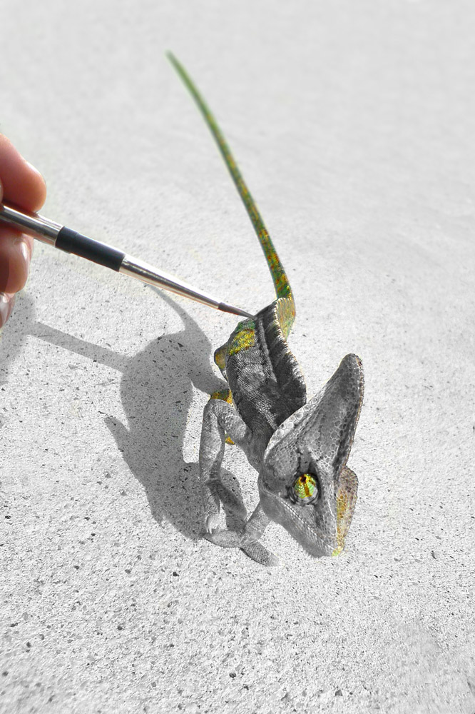 Photoshop Design by robotlick for DesignCrowd (Community Contests) | Design #8978108