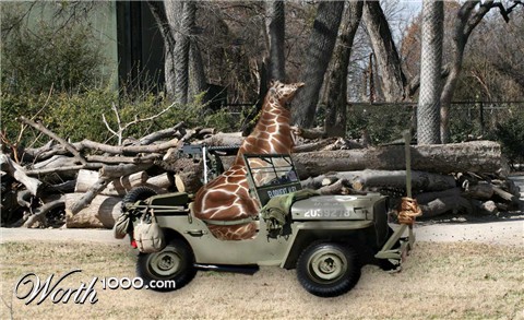 Photoshop Design by amalmansy