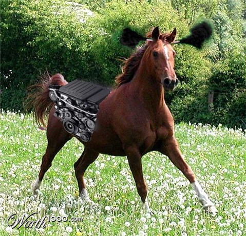 Photoshop Design by johnprice