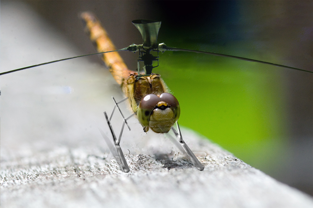 Photoshop-Design von Rocksham für DesignCrowd (Community Contests) | Design #8978218