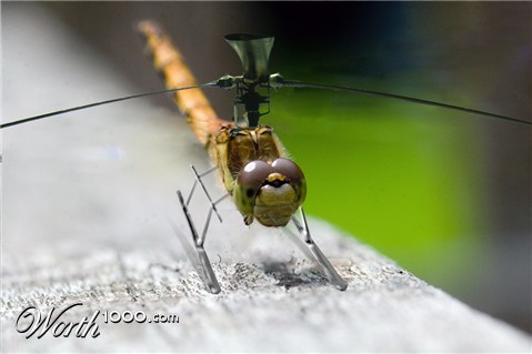 Photoshop Design by Rocksham