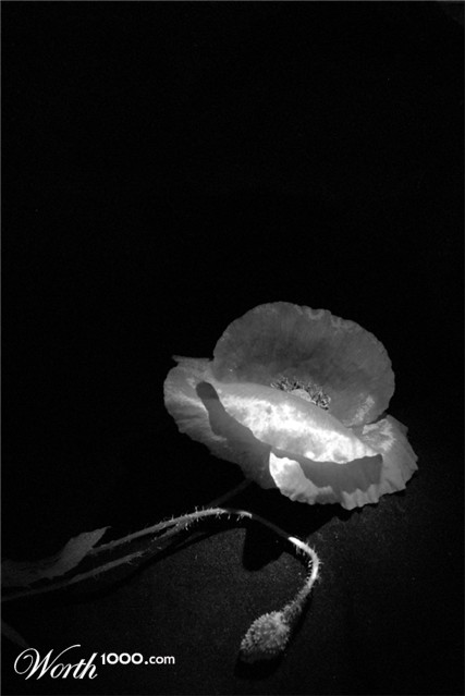 Photography by 2carmen7