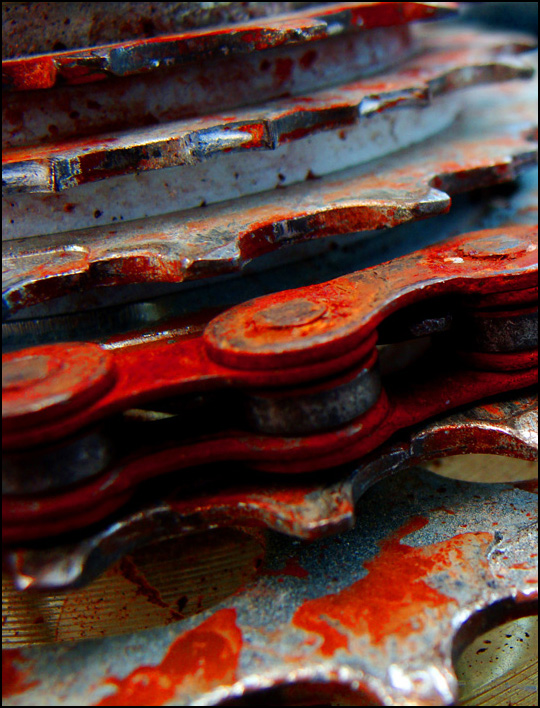 Photography by R-evolution GFX for DesignCrowd (Community Contests) | Design #8977855