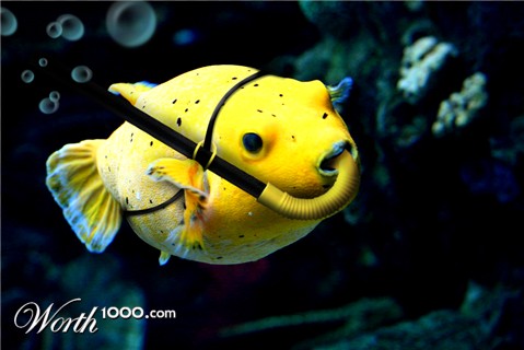 Photoshop Design by vanettenc