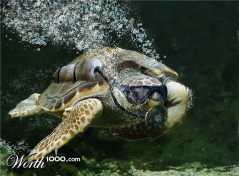 Photoshop Design by BERN95