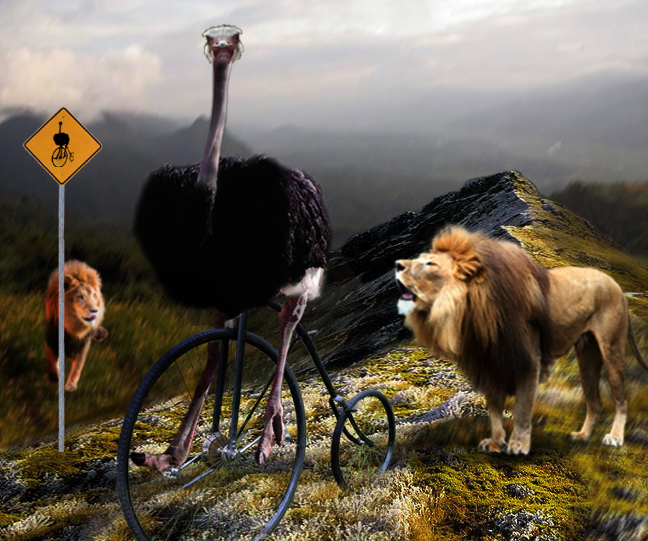 Diseño de Photoshop por Denase para DesignCrowd (Community Contests) | Diseño #8978249