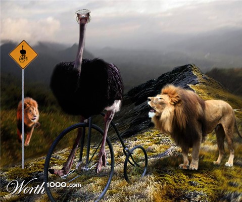 Photoshop Design by Denase