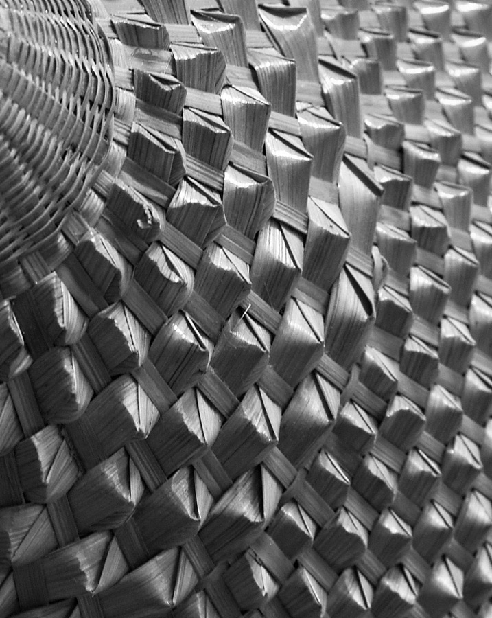 Photography by Anserculus for DesignCrowd (Community Contests) | Design #8977794