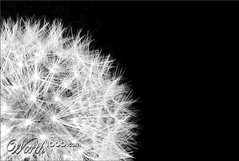 Photography by Hangerhead