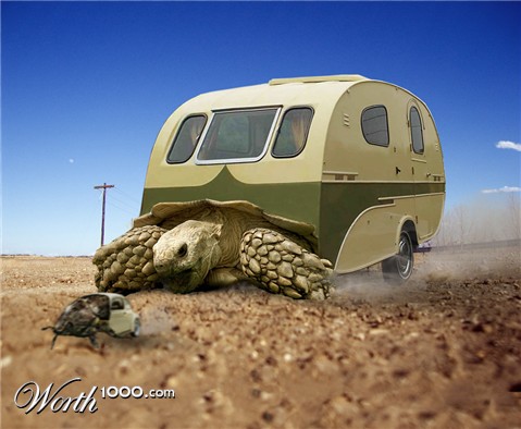 Photoshop Design by NakedApe