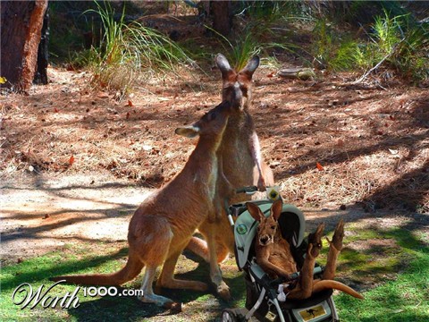 Photoshop Design by Mushon