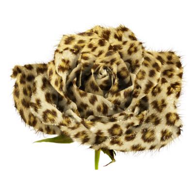 Photoshop Design by godzillatemple