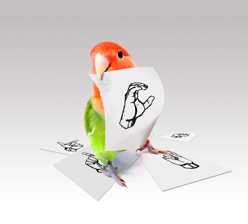 Photoshop-Design von Chalty669 für DesignCrowd (Community Contests) | Design #8978162