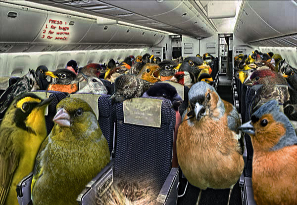 Photoshop Design by stringcheese for DesignCrowd (Community Contests) | Design #8978195