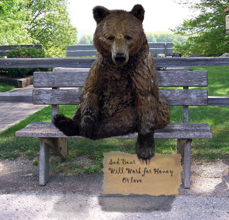 Photoshop Design by Gypzee for DesignCrowd (Community Contests) | Design #8977980