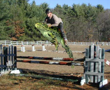 Photoshop Design by acidrain0117 for DesignCrowd (Community Contests) | Design #8982284