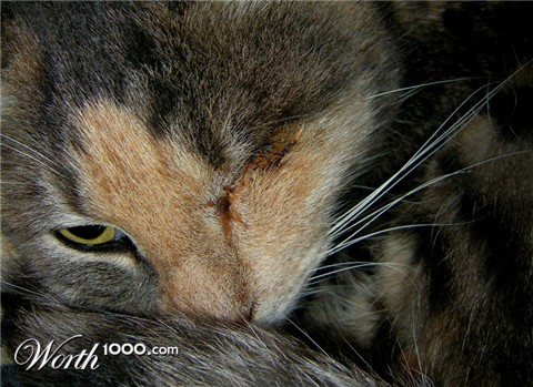 Photography by ASpedition