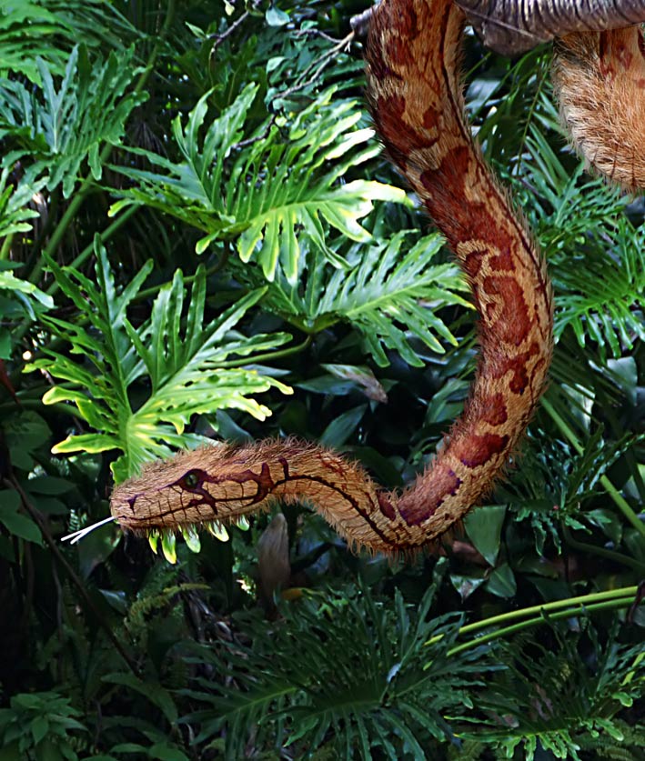 Photoshop Design by eskiss for DesignCrowd (Community Contests) | Design #8983624