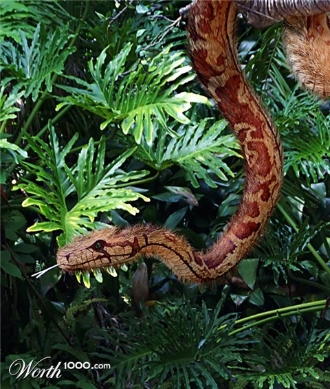 Photoshop Design by eskiss