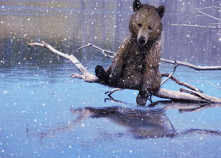 Diseño de Photoshop por lucimine para DesignCrowd (Community Contests) | Diseño #8978005