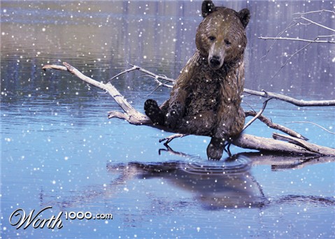 Photoshop Design by lucimine