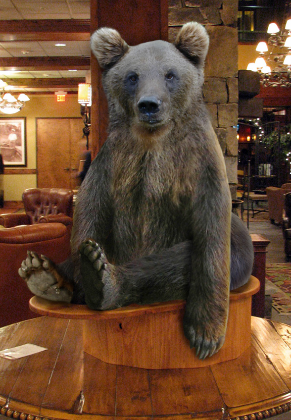 Photoshop-Design von chocoblock für DesignCrowd (Community Contests) | Design #8978061