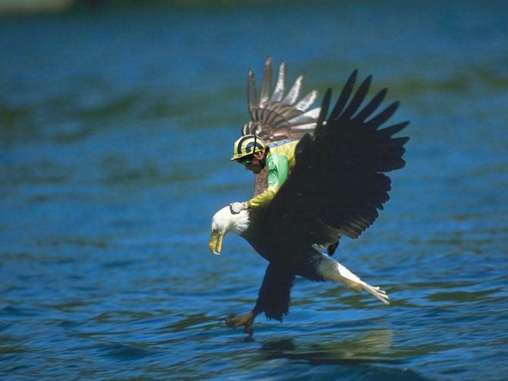 Photoshop Design by Golluminator for DesignCrowd (Community Contests) | Design #8982291