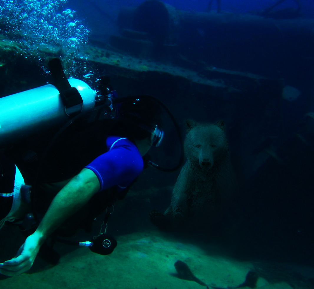 Photoshop Design by Renata33 for DesignCrowd (Community Contests) | Design #8978046