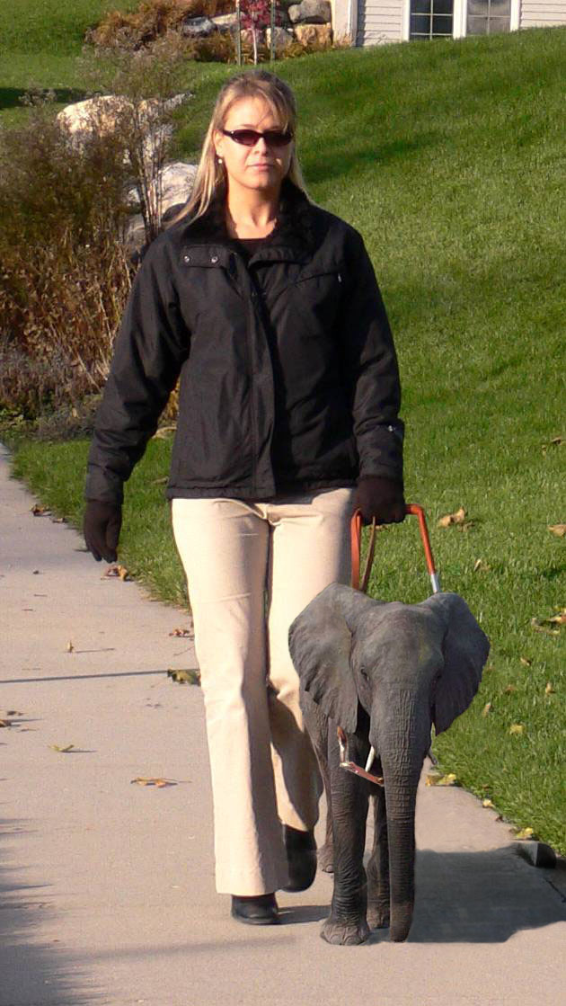 Photoshop Design by Disasterman111 for DesignCrowd (Community Contests) | Design #8982307