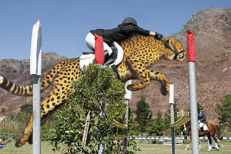 Diseño de Photoshop por copycatfish para DesignCrowd (Community Contests) | Diseño #8982300