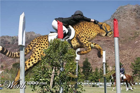 Photoshop Design by copycatfish