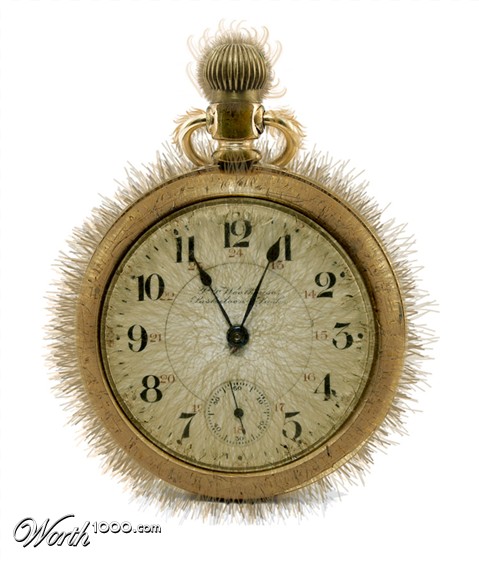 Photoshop Design by Mandrak