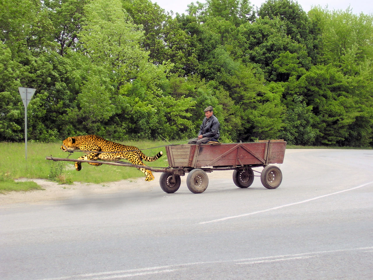 Photoshop Design by photoshopnewbie for DesignCrowd (Community Contests) | Design #8982303