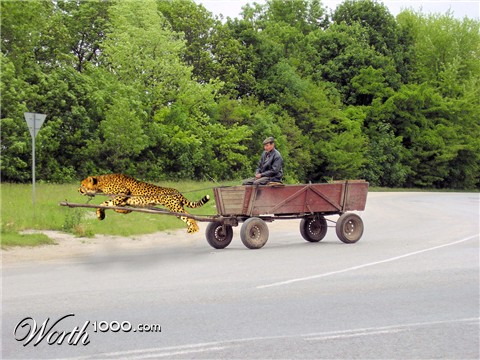 Photoshop design by photoshopnewbie for DesignCrowd (Community Contests)