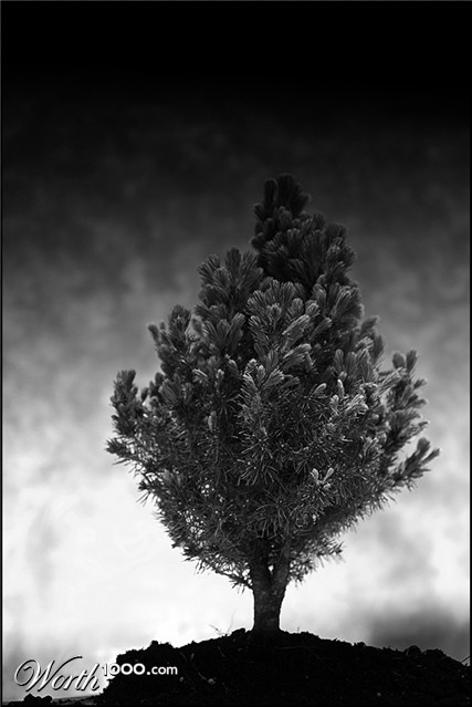 Photography by MeLummy